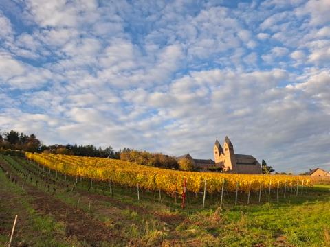 Abtei St. Hildegard in Eibingen im Herbst