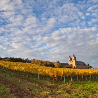 Abtei St. Hildegard in Eibingen im Herbst