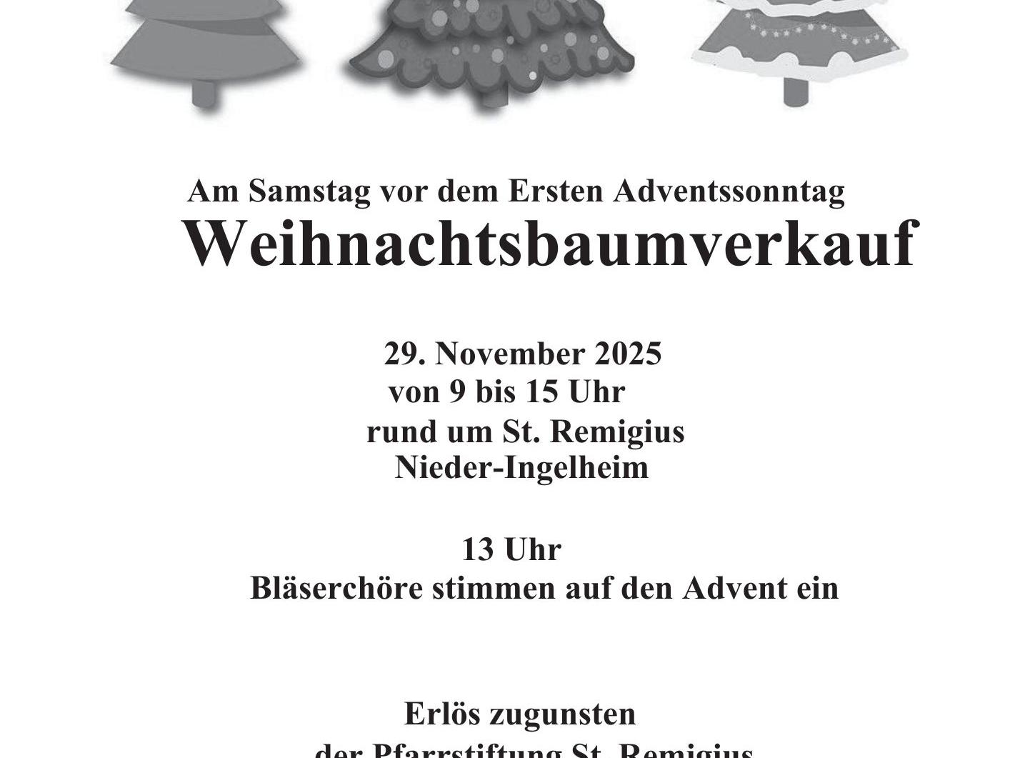 am 29.11. kann man seinen Weihnachtsbaum rund um St. Remigius in Nieder-Ingelheim kaufen