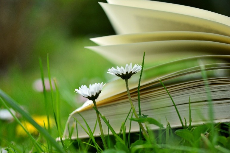 Zusammen lesen, verändert