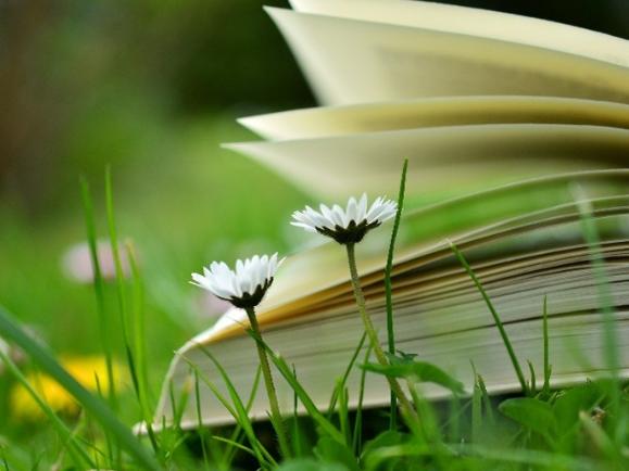 Zusammen lesen, verändert