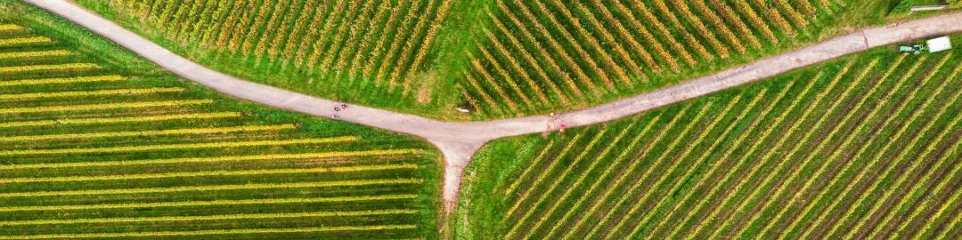 bernd-dittrich-FXy-YfEi_PY-unsplash
