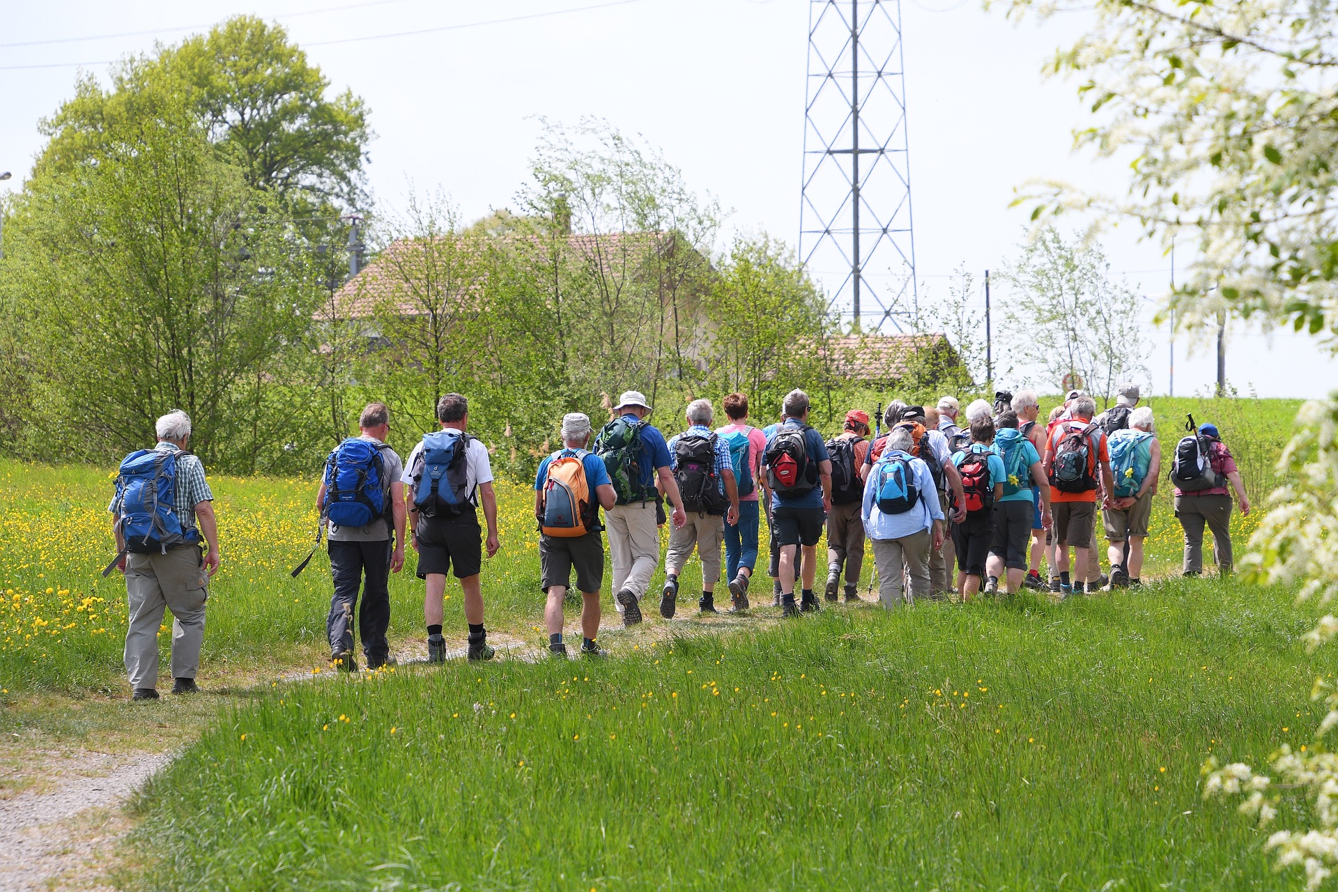 Wandern