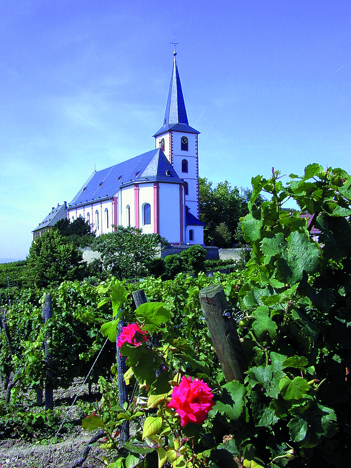 St. Peter und Paul, Hochheim