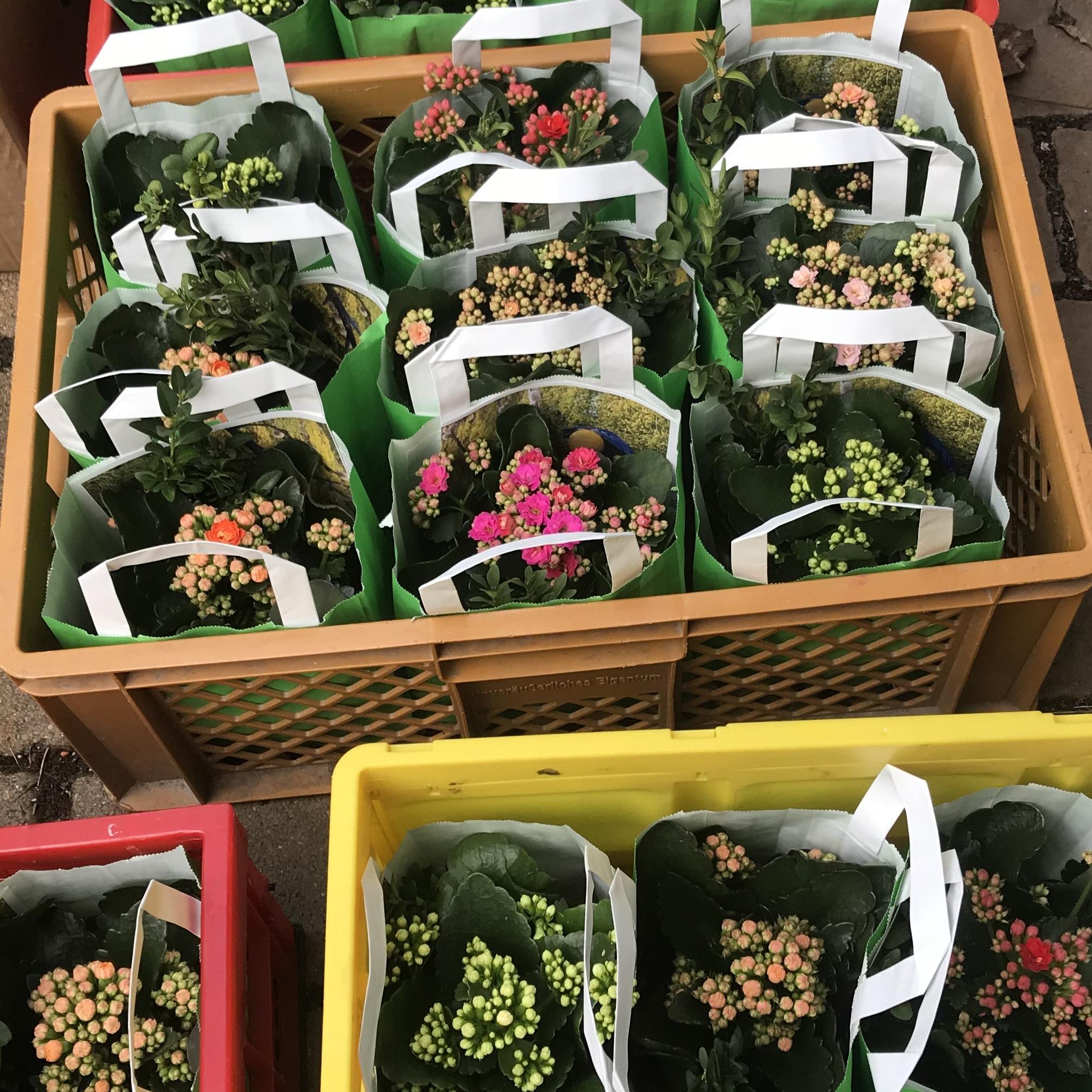 Ostergruß Altenheim Finthen