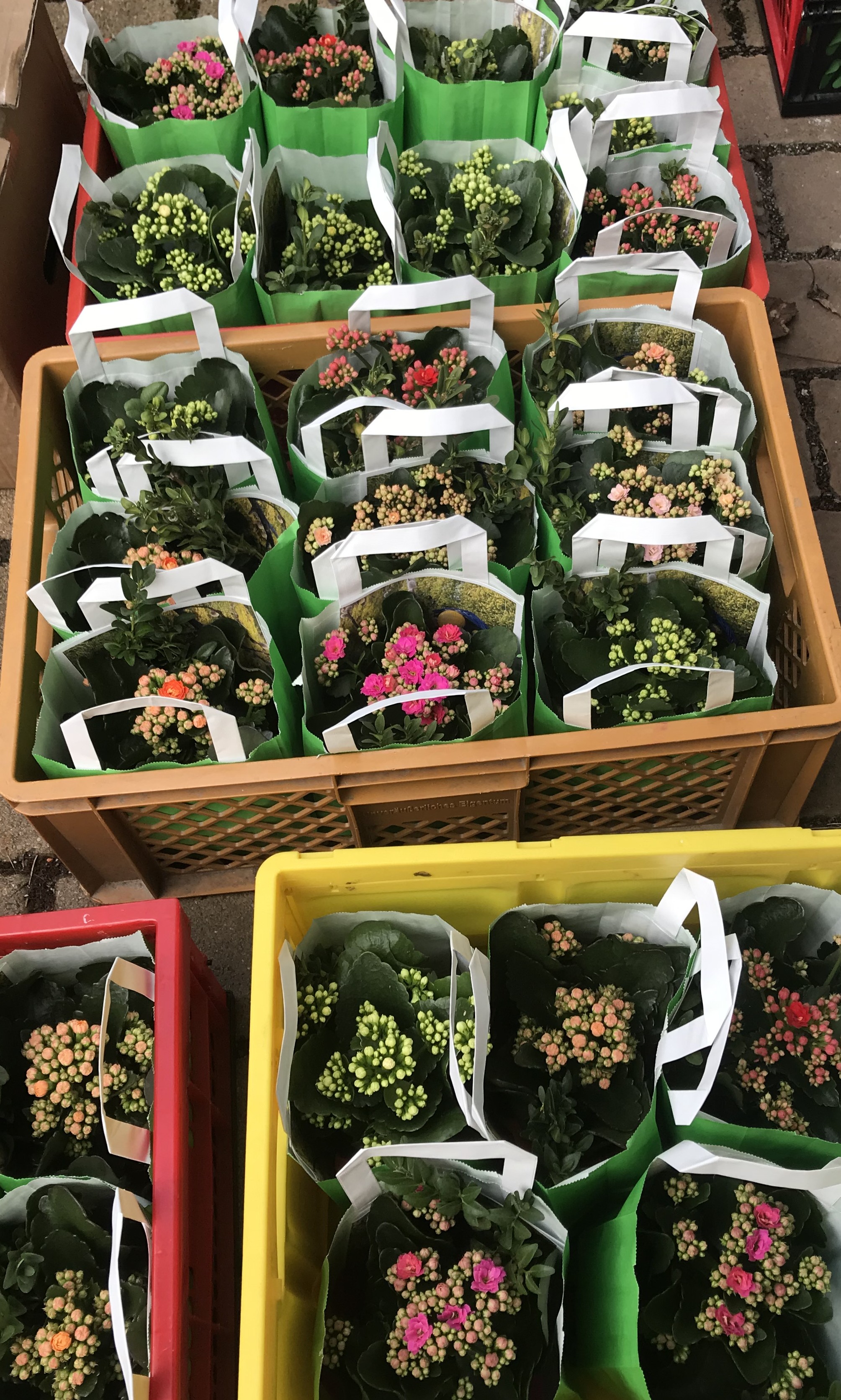 Ostergruß Altenheim Finthen