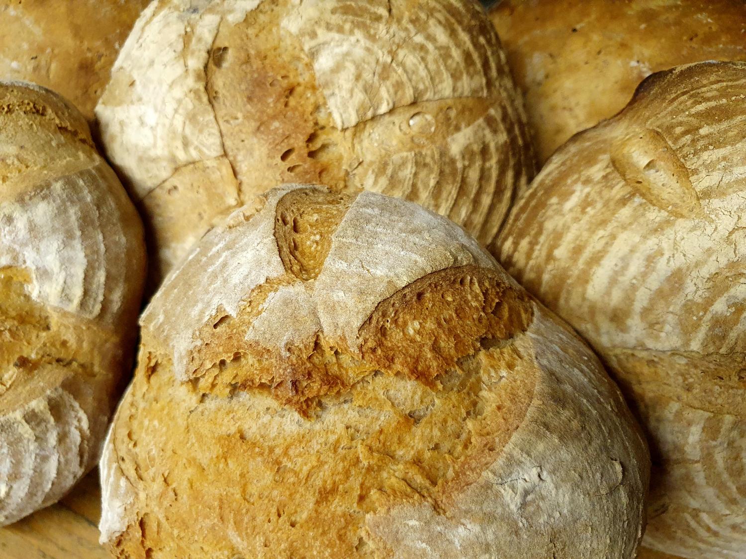 brot-2_by_Ansgar-Baumann_pfarrbriefservice