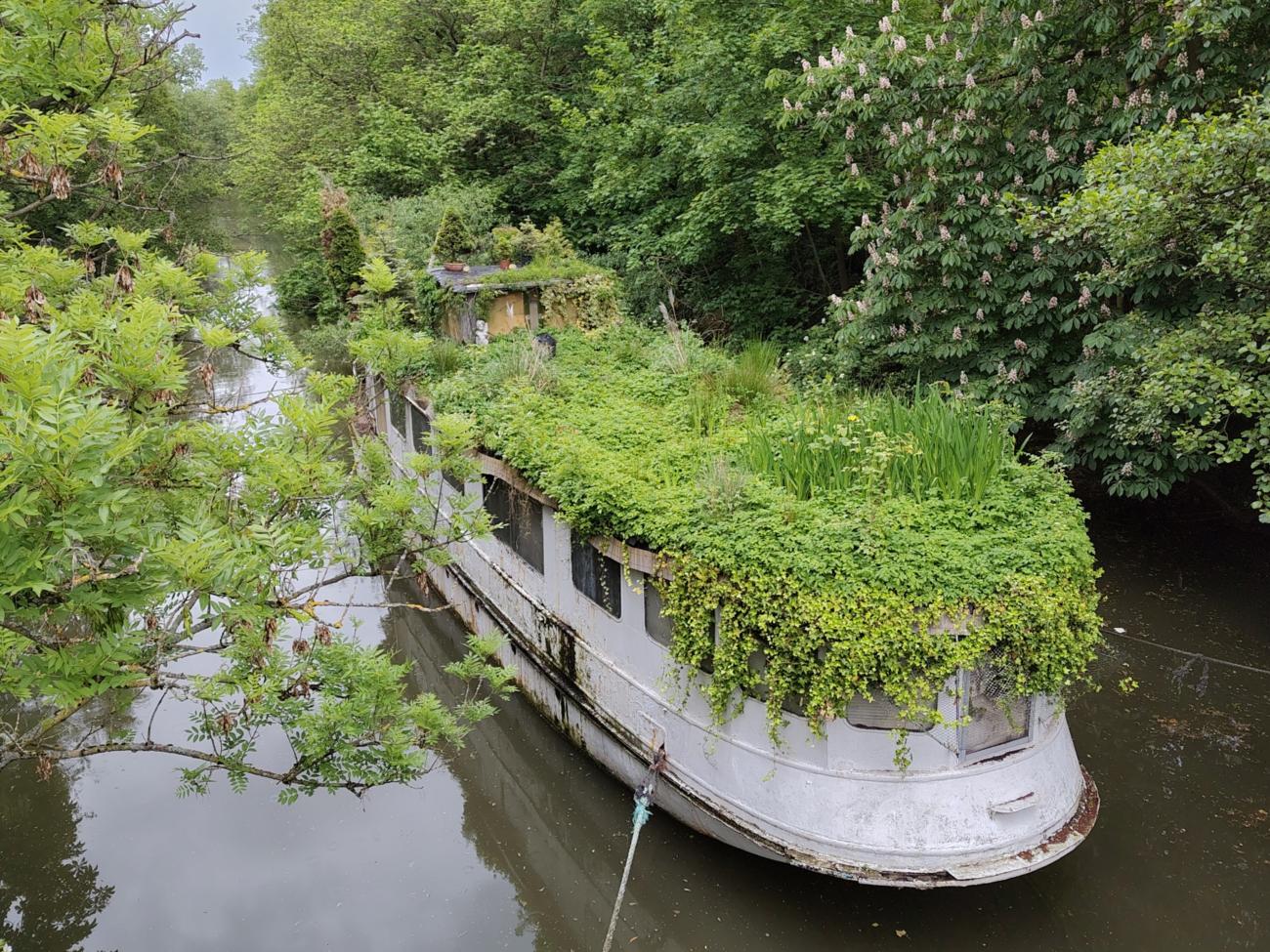 Naturboot in Frankfurt-Niederrad