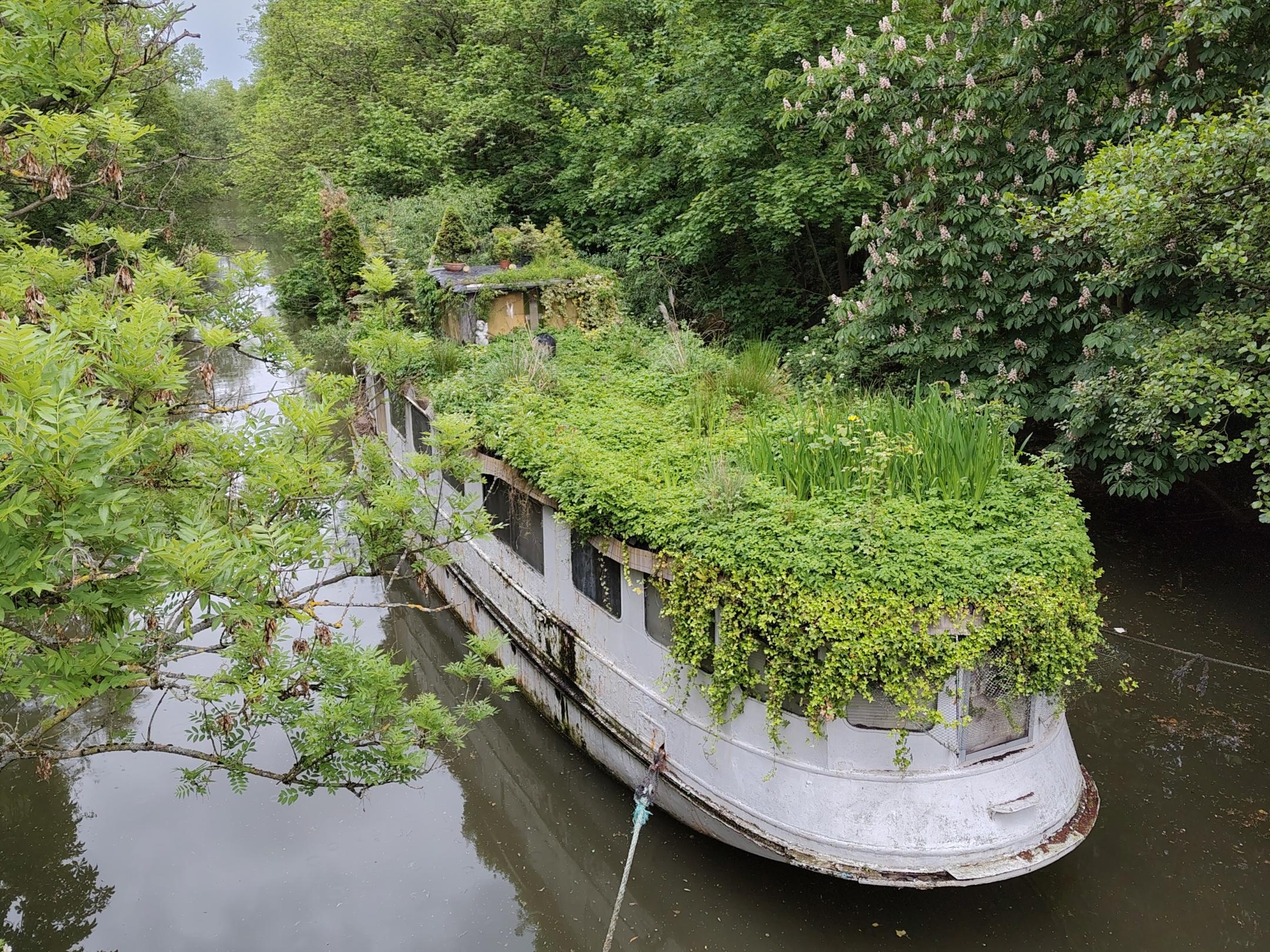 Naturboot in Frankfurt-Niederrad