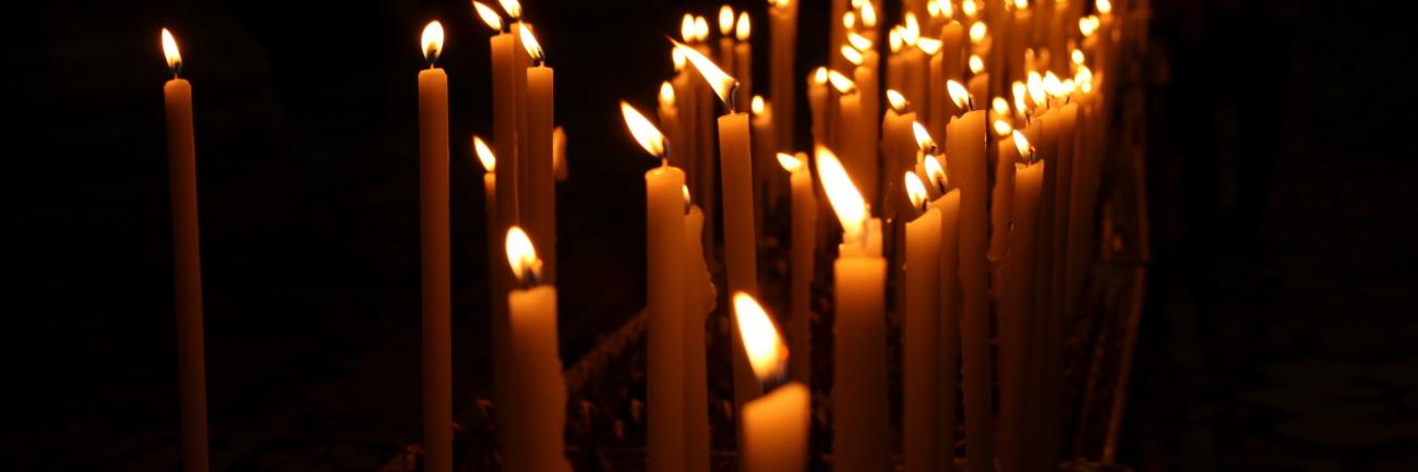 Lebende Lichter