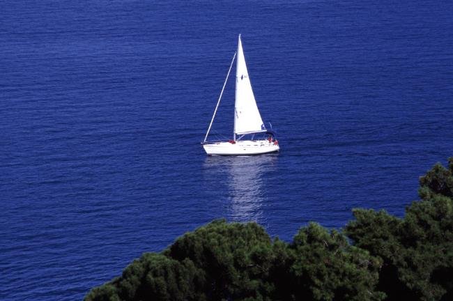 Segelboot auf blauem Meer, im Vordergrund grüne Bäume.