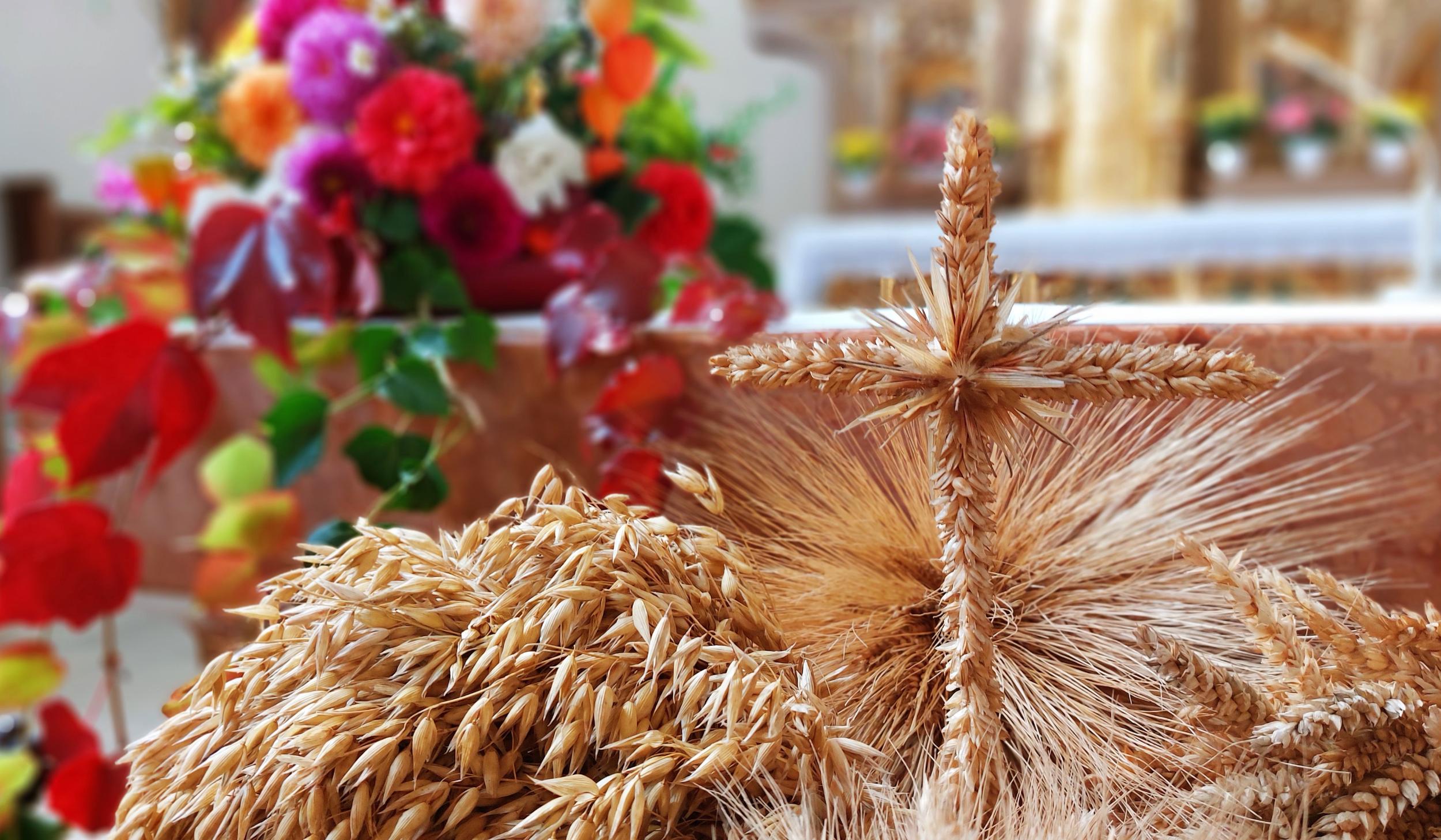 Nahaufnahme von kunstvoll gebundenen Getreideähren und einem Kreuz aus Getreideähren vor einem herbstlich geschmückten Altar