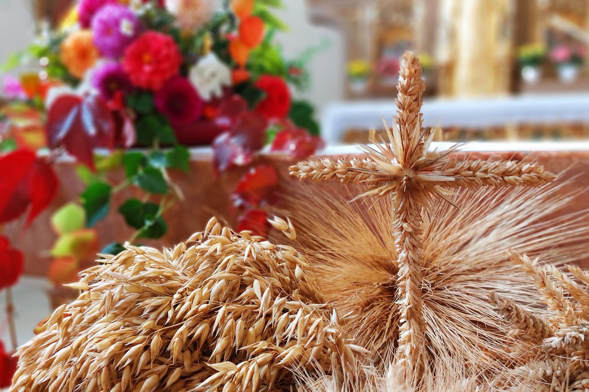 Nahaufnahme von kunstvoll gebundenen Getreideähren und einem Kreuz aus Getreideähren vor einem herbstlich geschmückten Altar