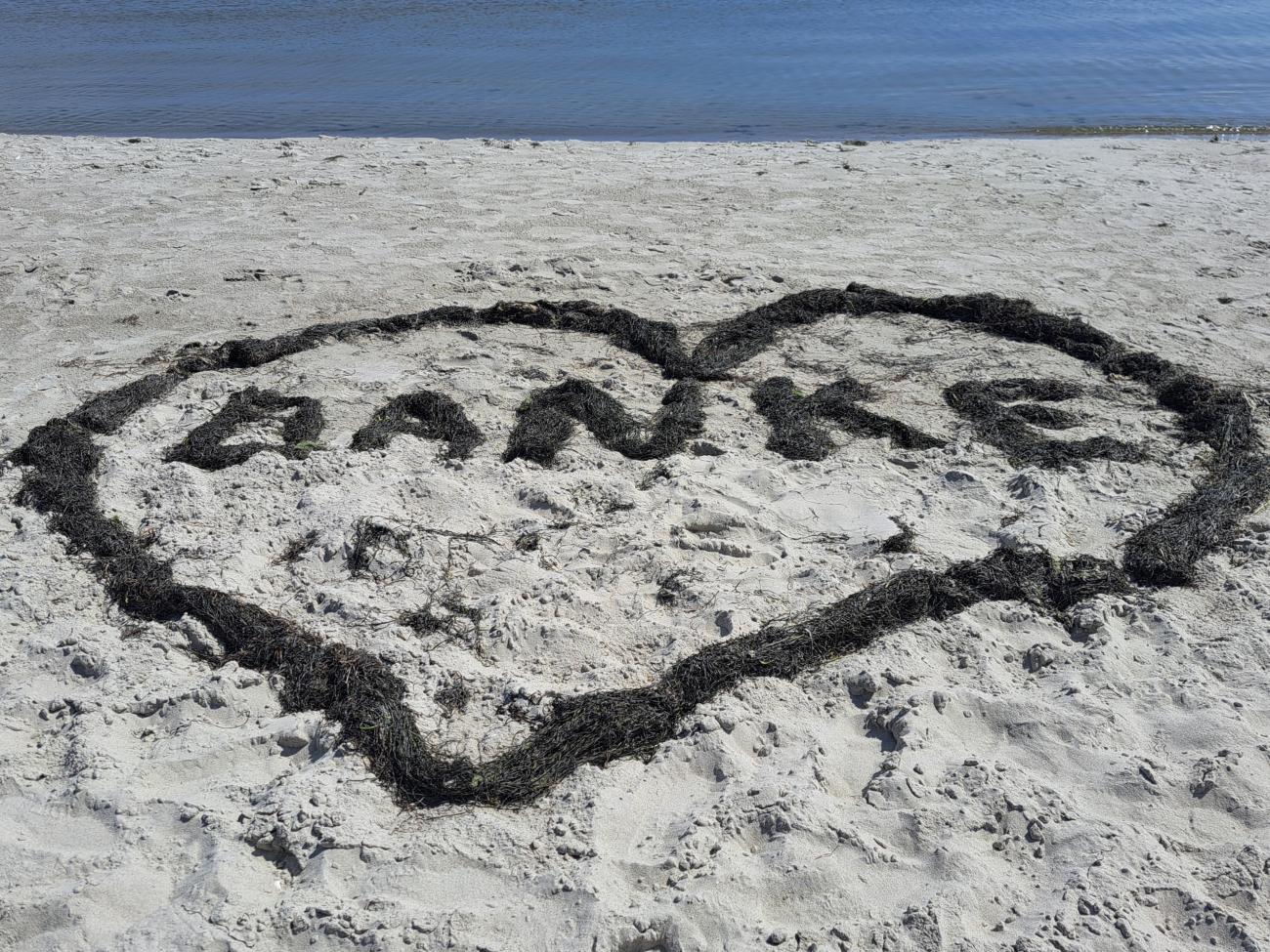 Herz aus Algen und das Wort 'DANKE' am Sandstrand nahe dem Wasser.