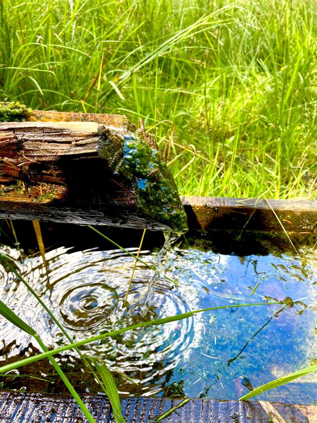 Brunnen - Lebendiges Wasser