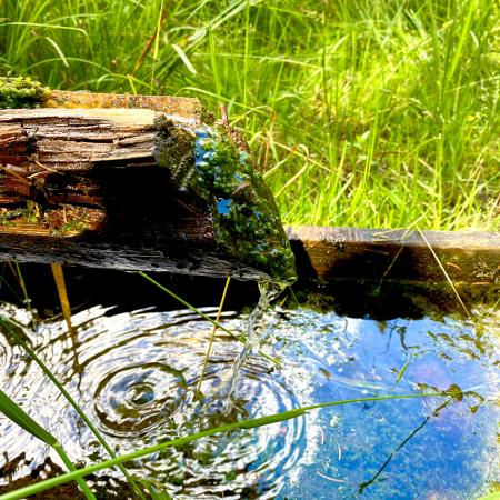 Brunnen - Lebendiges Wasser