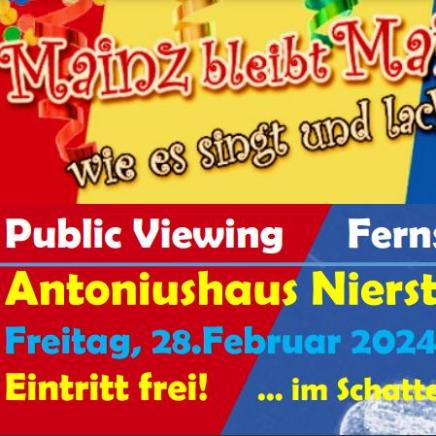 Mainz bleibt mainz pv plakat bunt