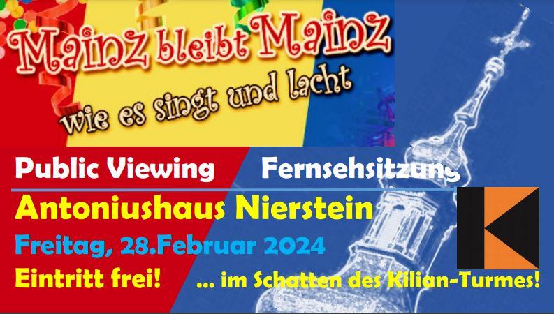 Mainz bleibt mainz pv plakat bunt