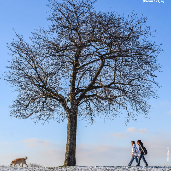 Pfarrbrief 10_24.01.2026-22.03.2026