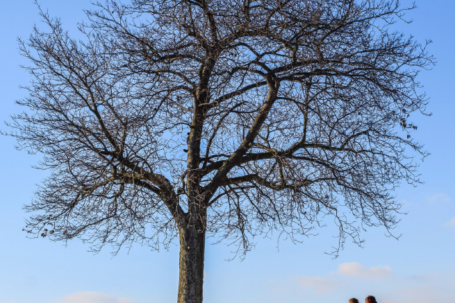 Pfarrbrief 10_24.01.2026-22.03.2026