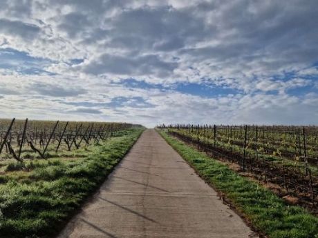 1-2025-04-21-weg-ekues