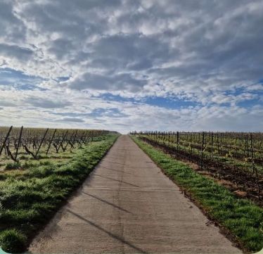 1-2025-04-21-weg-ekues