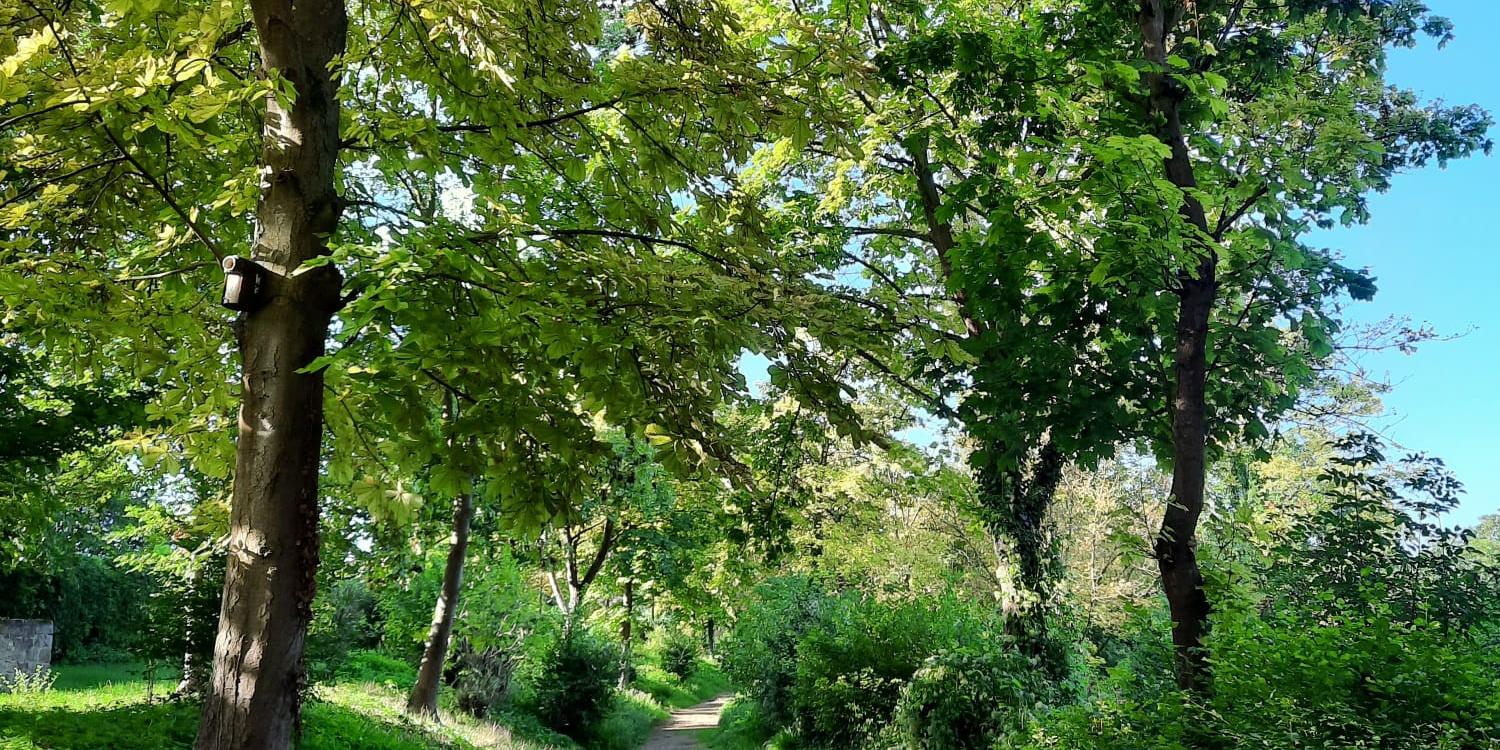 Wanderweg-Karsten