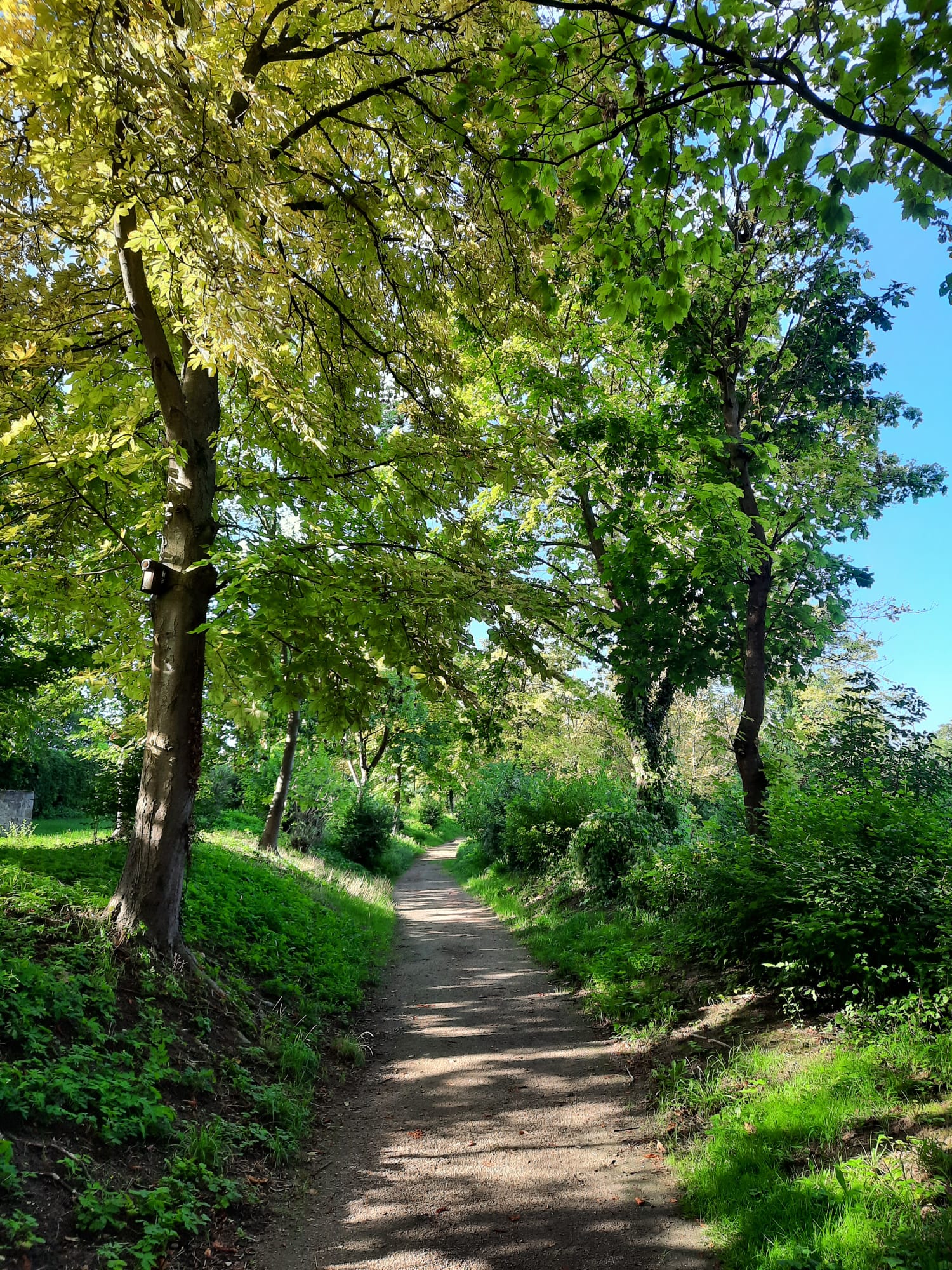 Rheinhessen-Mitte