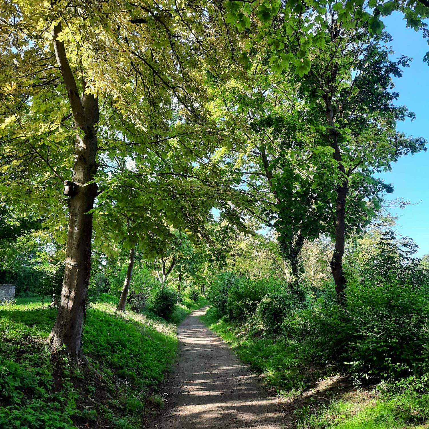 Rheinhessen-Mitte