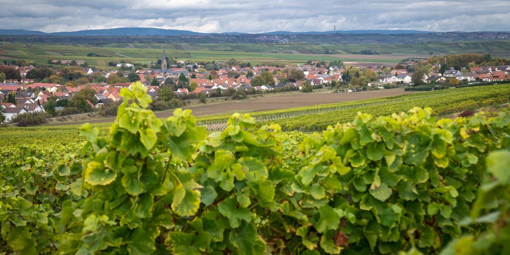 Saulheim