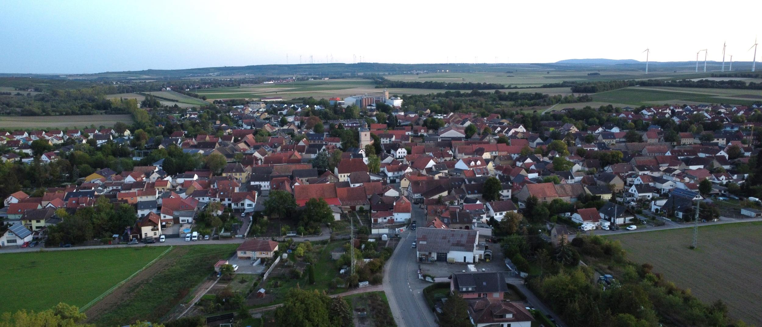 Blick auf Wallertheim