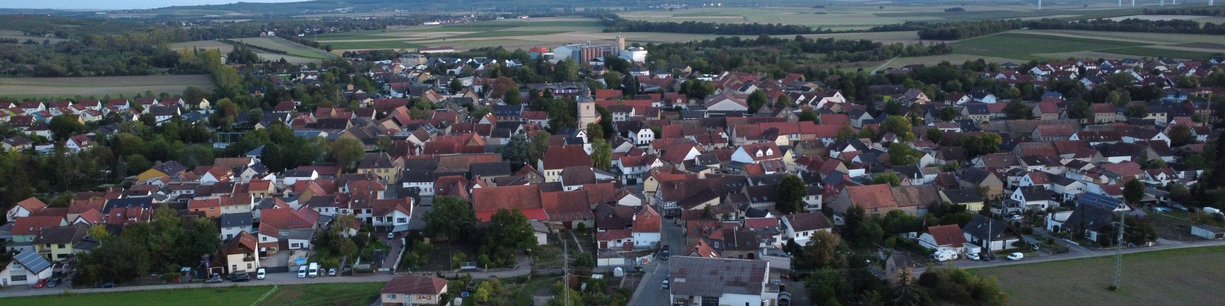 Blick auf Wallertheim