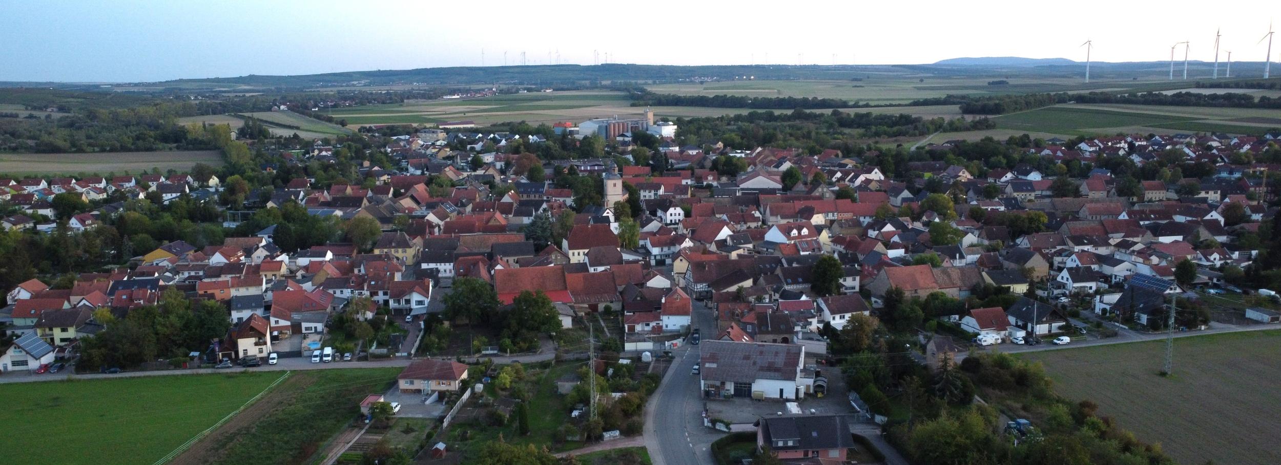 Blick auf Wallertheim