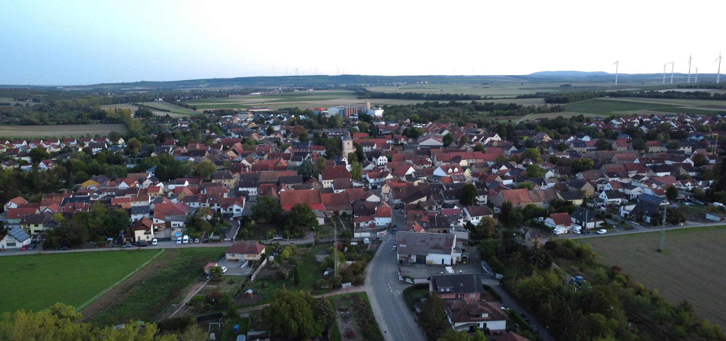 Blick auf Wallertheim