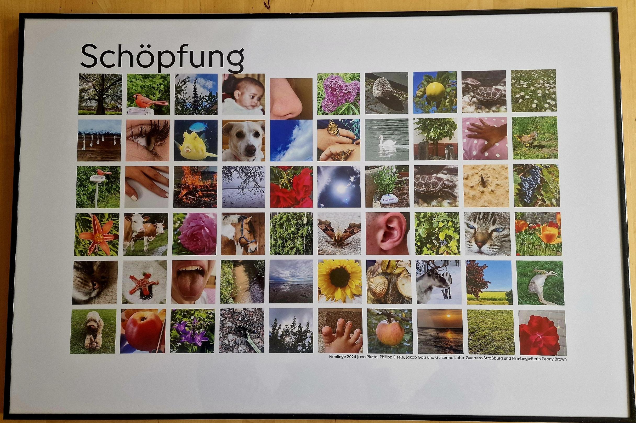 Fotowanderung Schöpfung