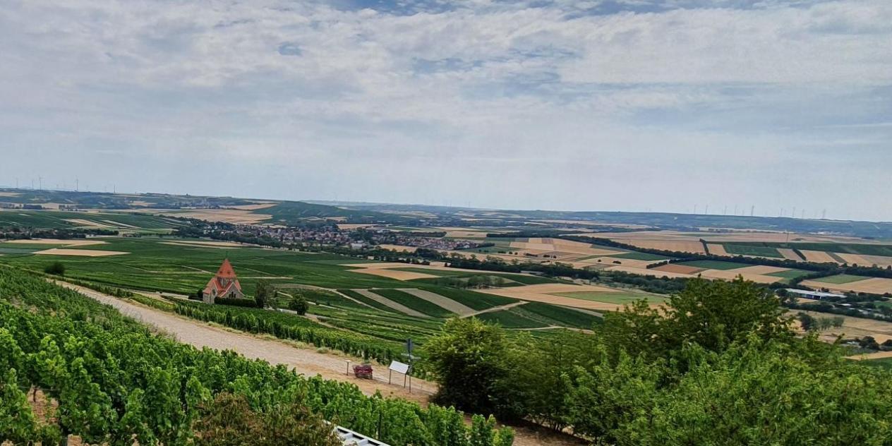 Rund um den Wißberg