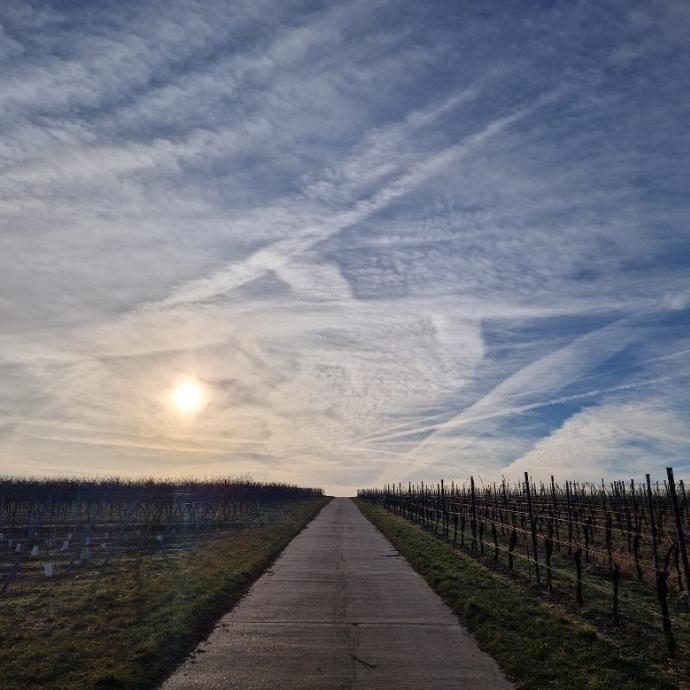 Himmel über Rheinhessen-Mitte