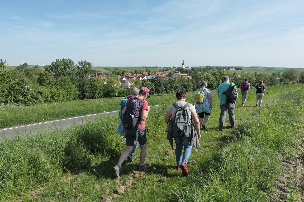 Pilgern-vom-Mittelpunkt Rheinhessens bis zu r Bergkirche in Udenheim