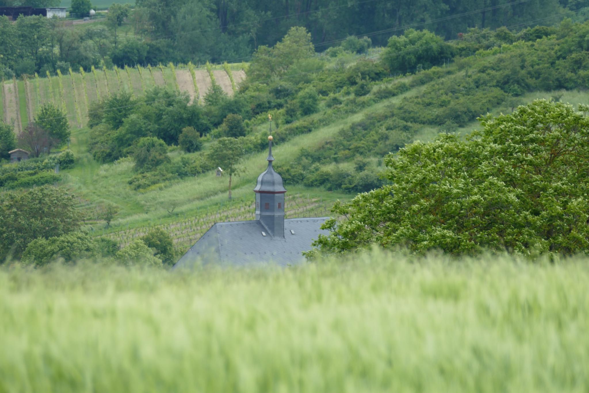 Wanderung vom 26.05.2024