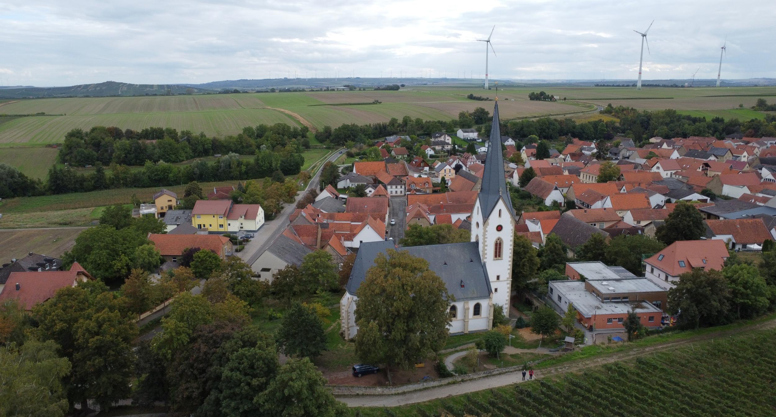 Blick auf Gabsheim
