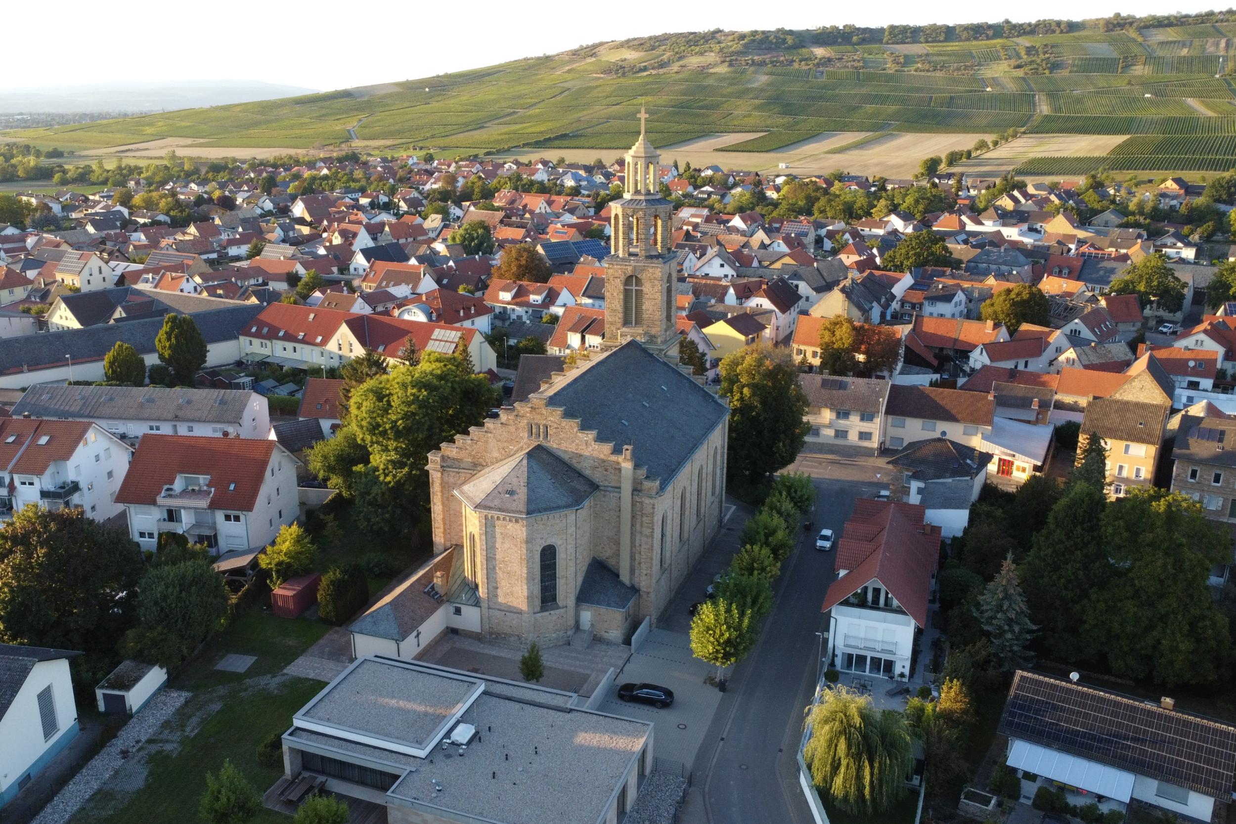 Blick auf Gau-Bickelheim