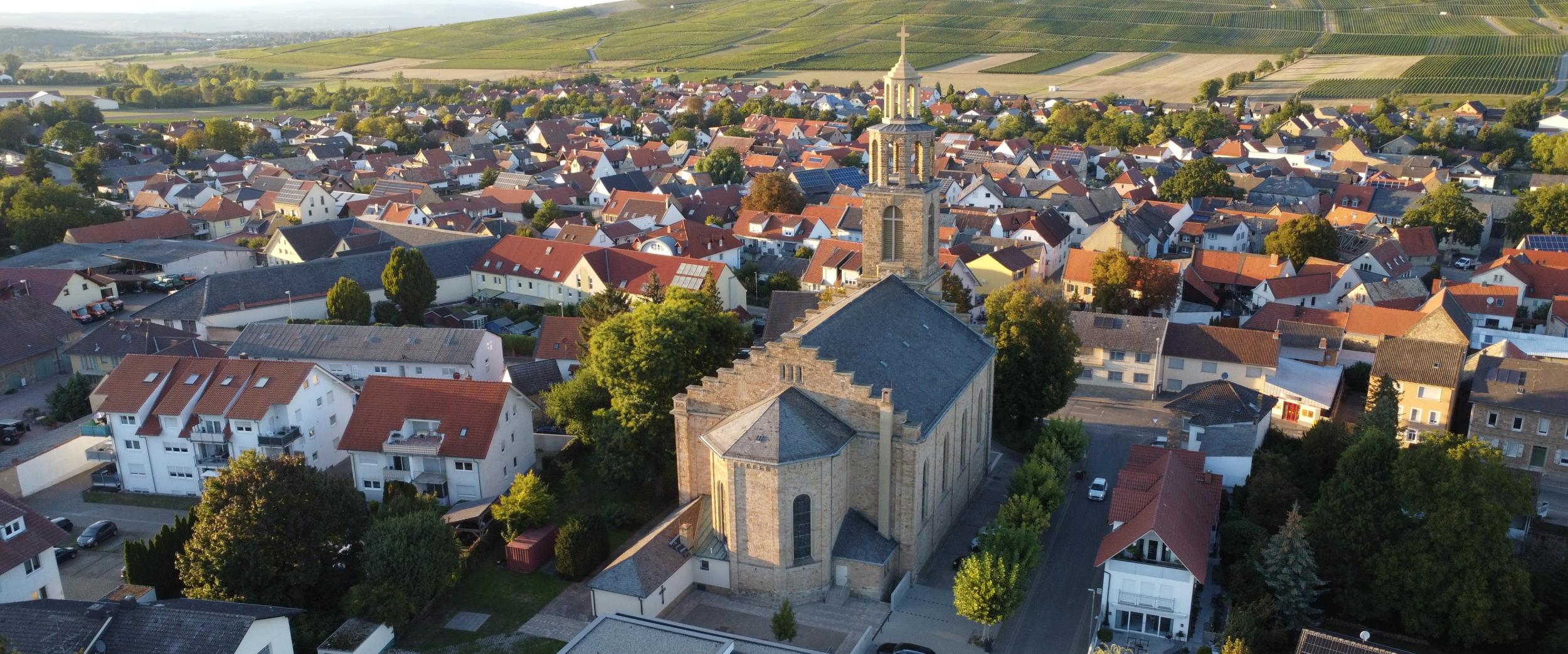 Blick auf Gau-Bickelheim