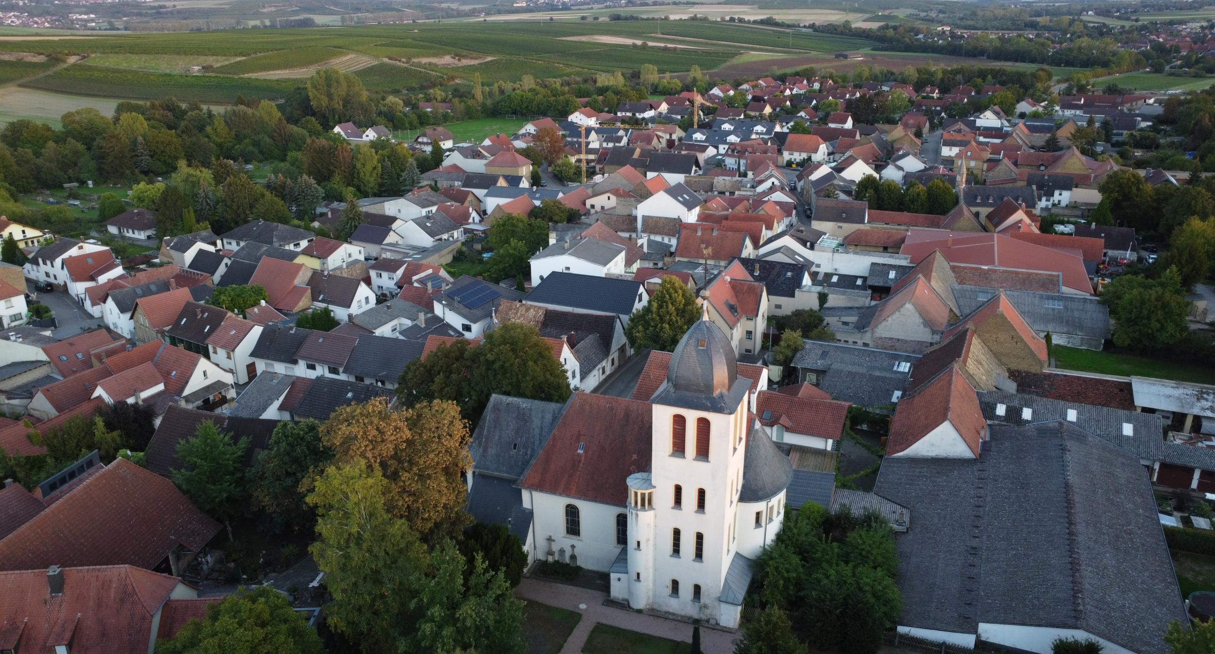 Blick auf Gau-Weinheim