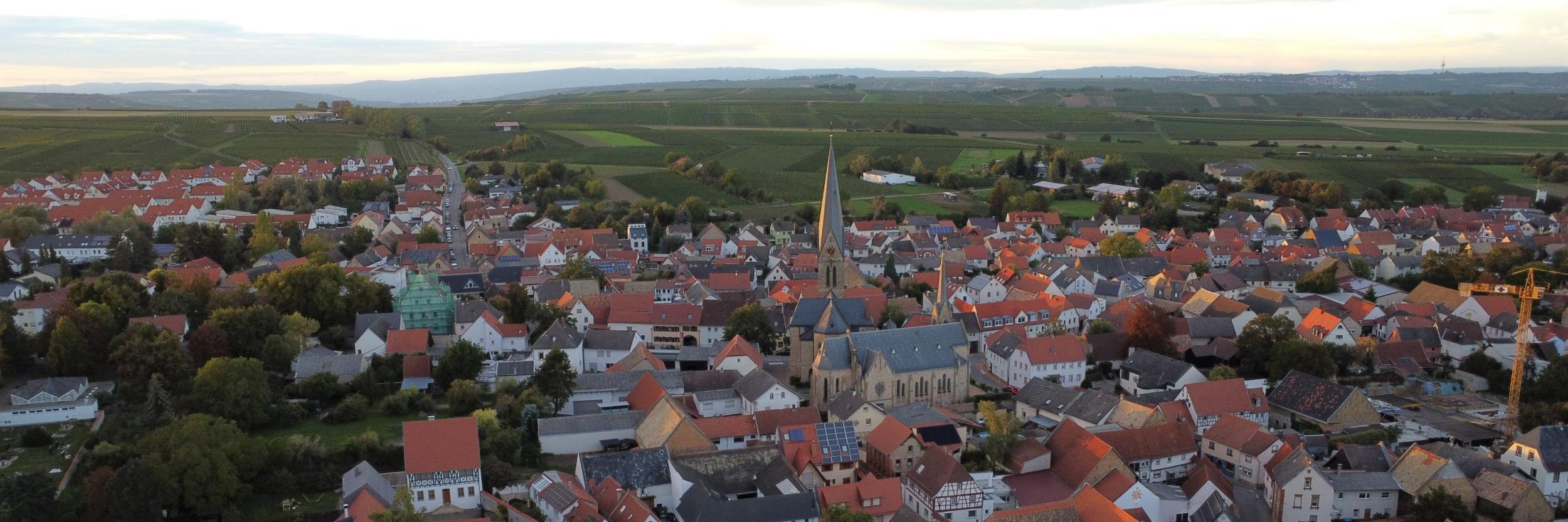 Blick auf Saulheim