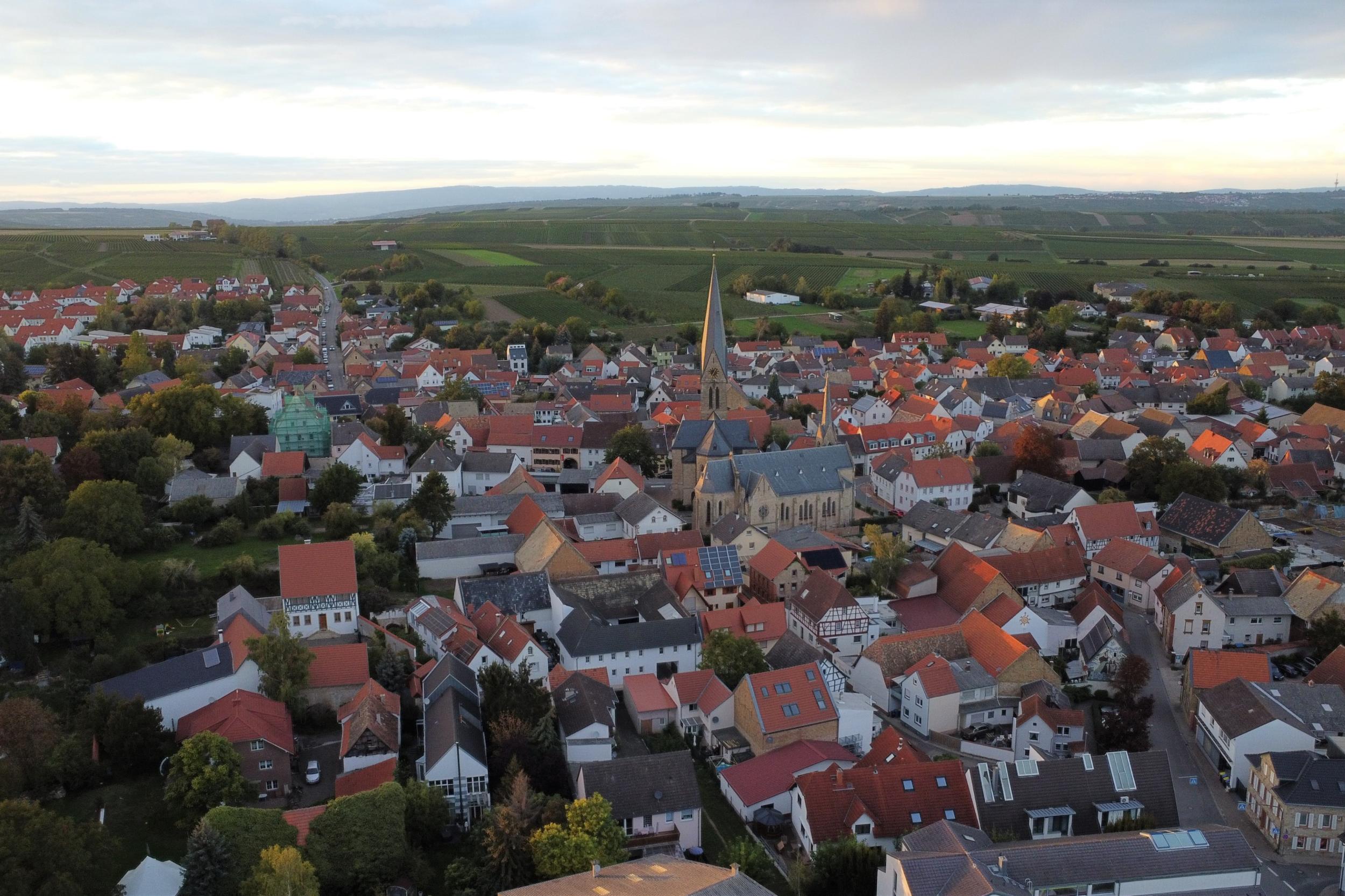 Blick auf Saulheim