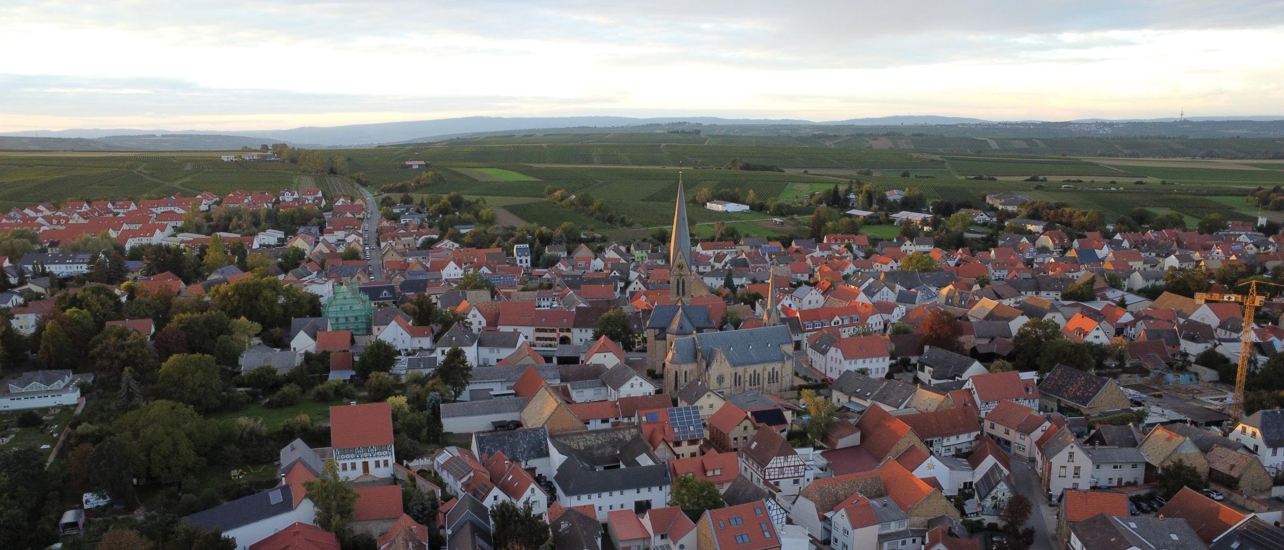 Blick auf Saulheim