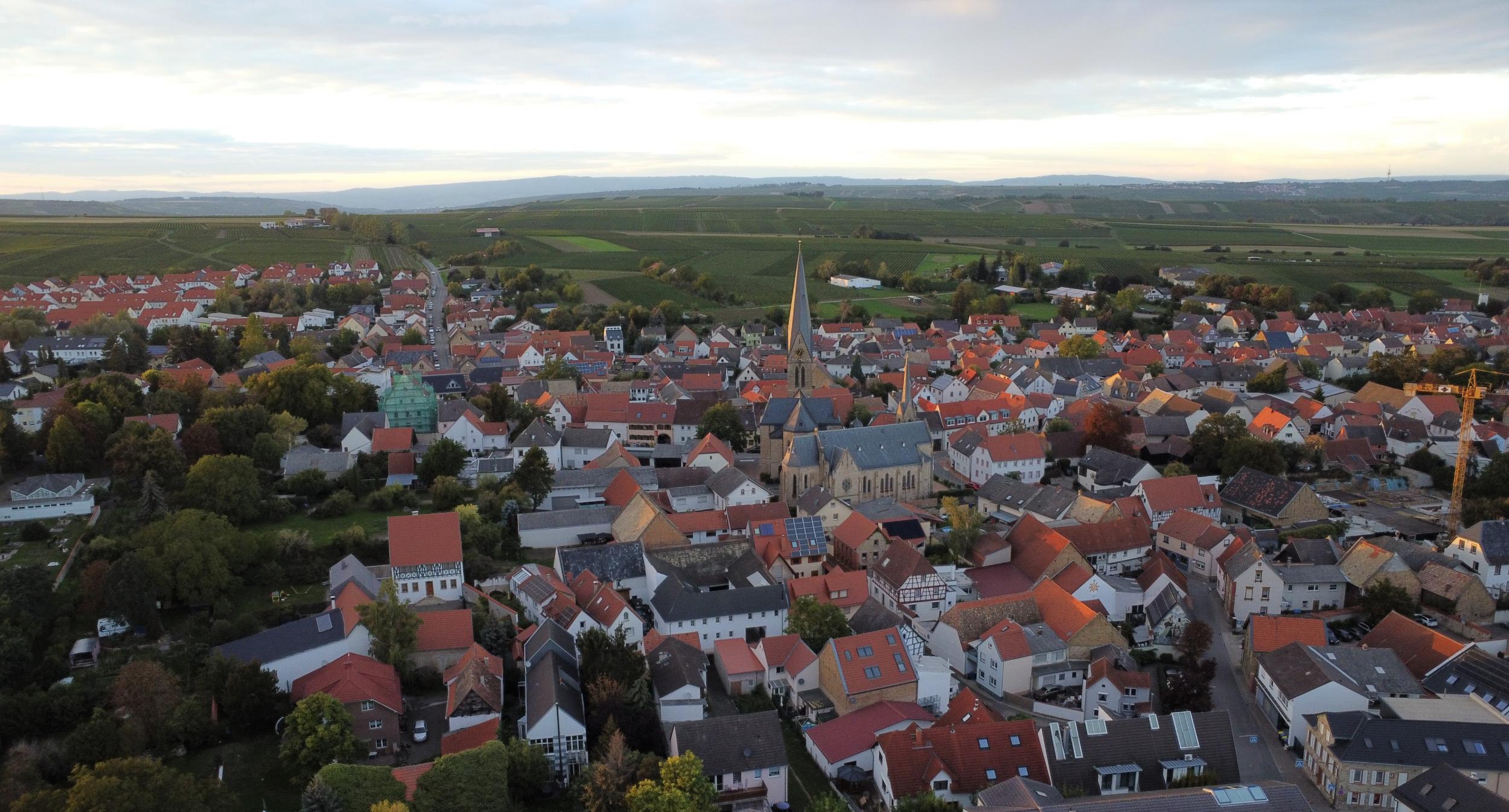 Blick auf Saulheim