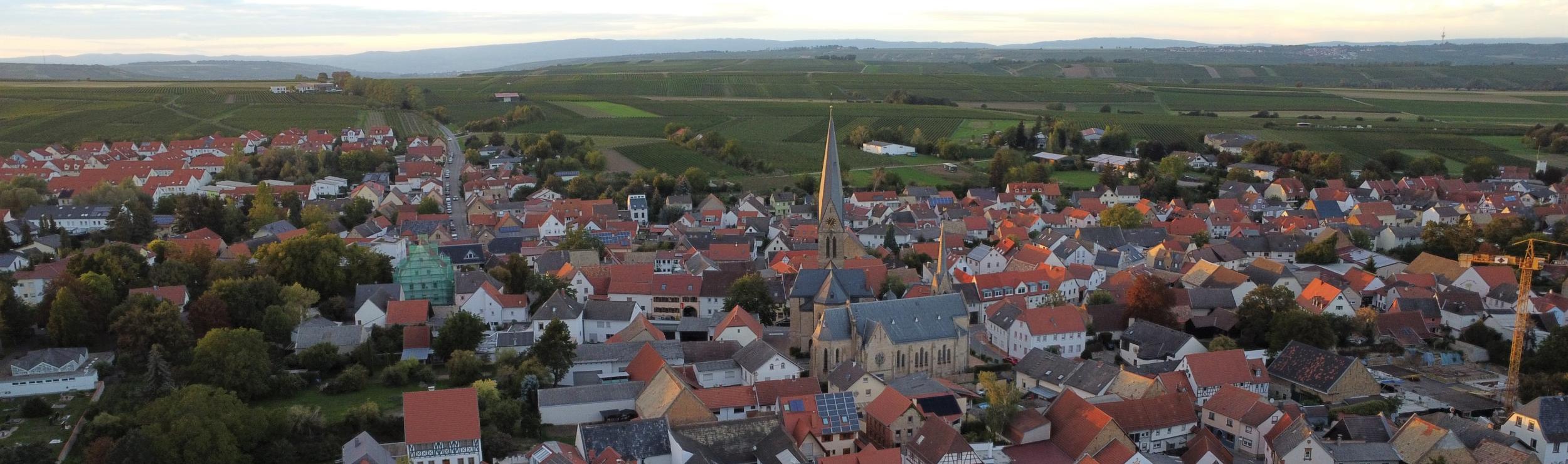 Blick auf Saulheim