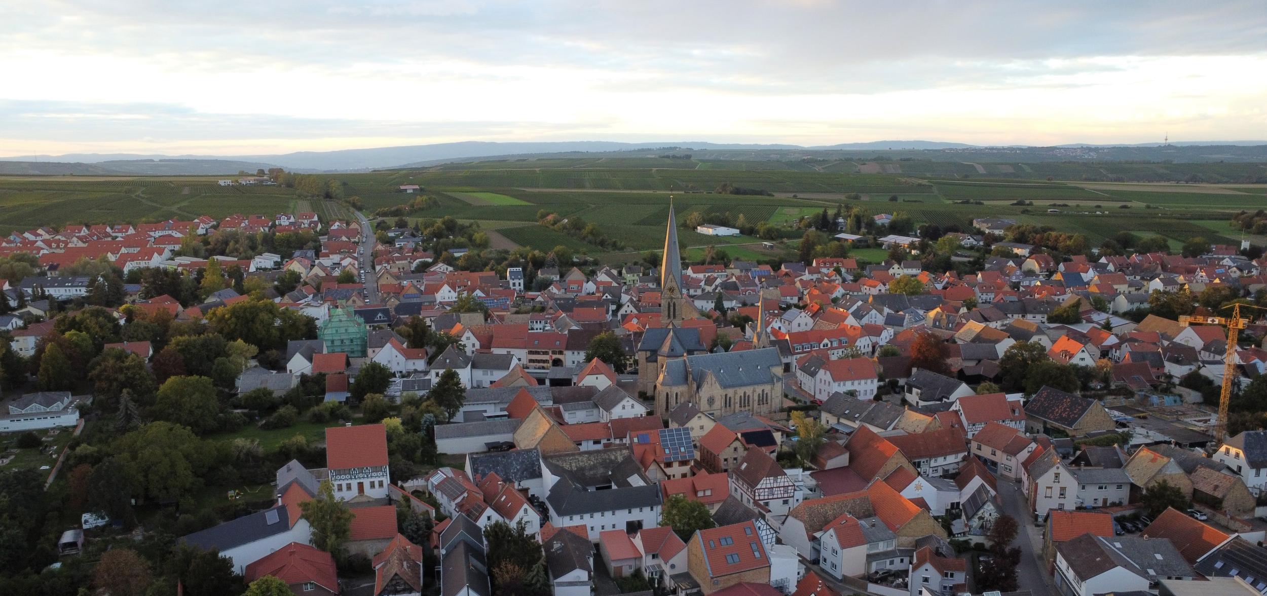 Blick auf Saulheim