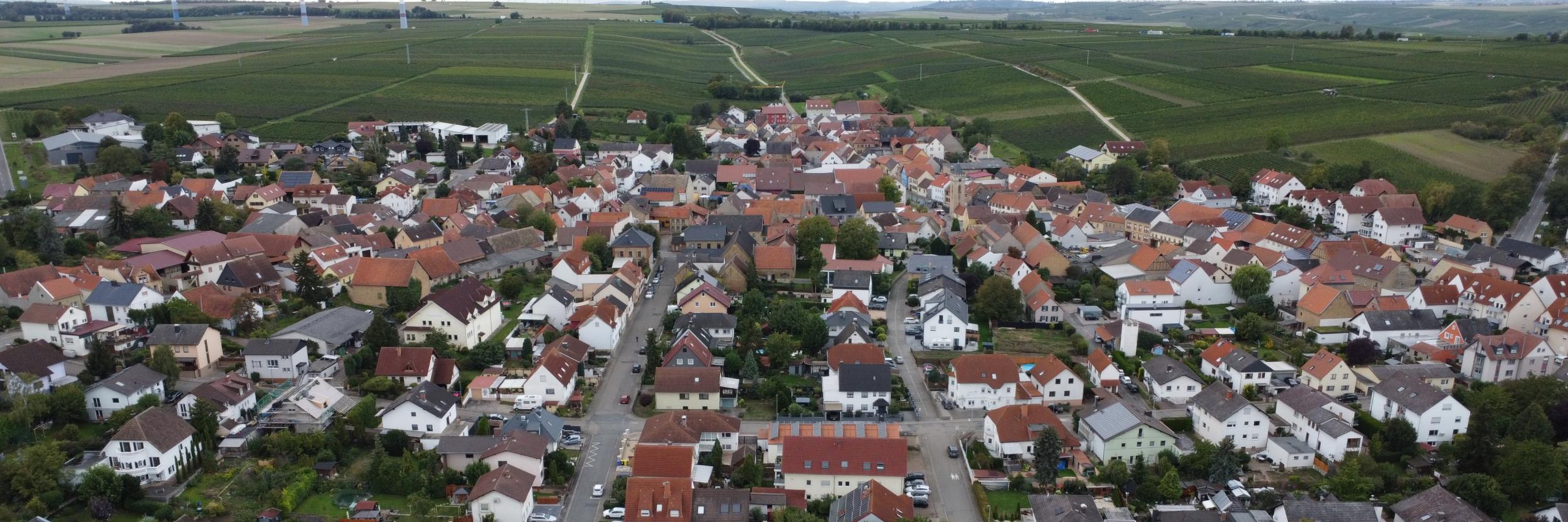 Blick auf Udenheim